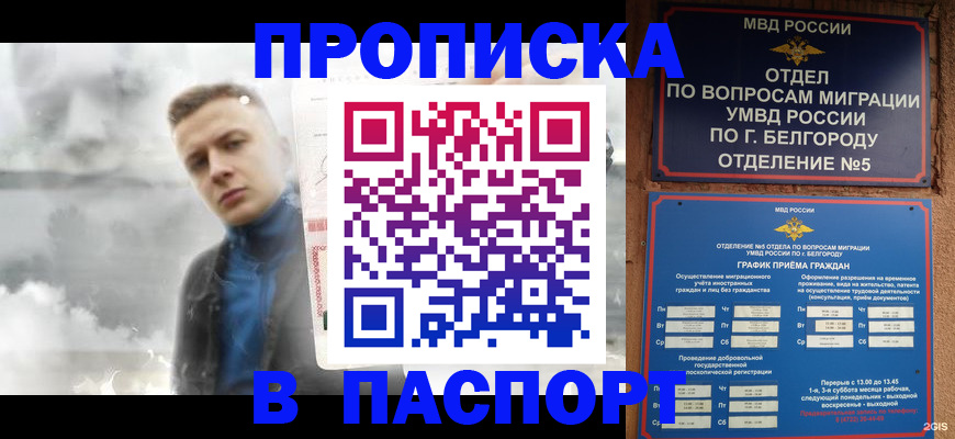 временная регистрация в Полярных Зорях